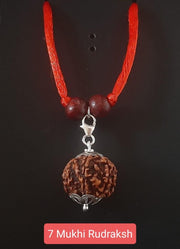 7 Mukhi Rudraksha Silver Capped Pendant