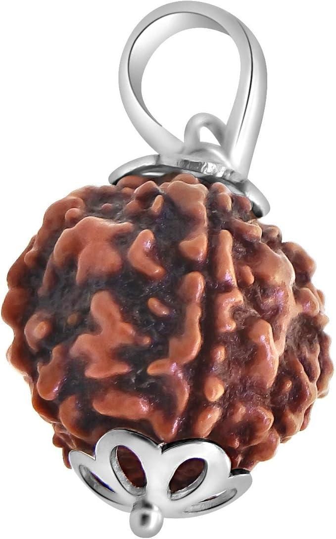 Original 5 Mukhi Rudraksha Bead