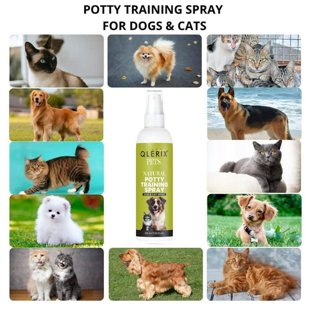 Natural Potty Training Spary for Dog & Cat (Pack of 1) 100ml